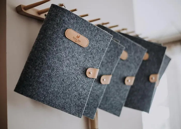 Sepia Station touristique Wisła